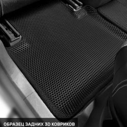 Левый пассажир