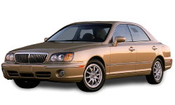 2D коврики EVA в салон на Hyundai XG I (1998-2005)