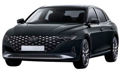 2D коврики EVA в салон и багажник на Hyundai Grandeur VI рестайлинг (2019-2023)